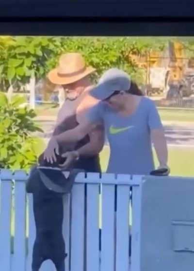 The friendly doggo 💖