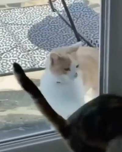 the soul requires dancing