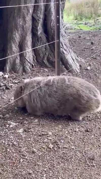 Ooh yeah, that's the spot, just right there!