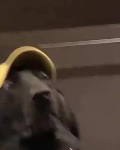 When the family argues during Thanksgiving dinner