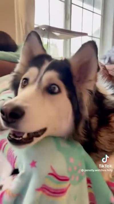 Really need a trampoline 😂