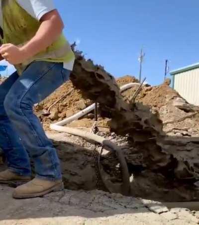 Shouldn't have had taco bell two meals in a row