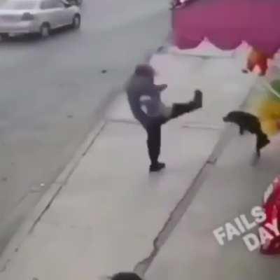 HMFT after I kick this dog…