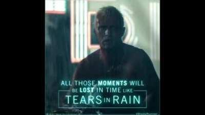 One of my favorite gifs of all time. RIP Rutger Hauer