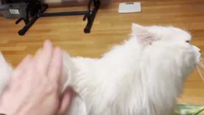 Mr. Couch feels a certain way about the butt slaps