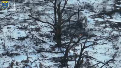 High Quality Footage: Ukrainian 118th TDF Brigade's 