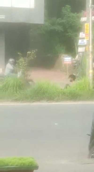 When you watch too much of hulk , while drinking too much of beer