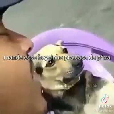 Conselho da noite amigos 😔