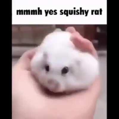 free stress ball 😳😳😳