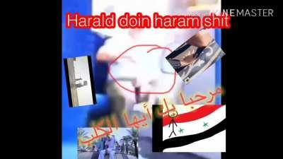 يوم جيد Harald Haram 🇲🇷🇲🇻 😂 قطة لطيفة Bondage Short Film 🤣 toilet brush 😑