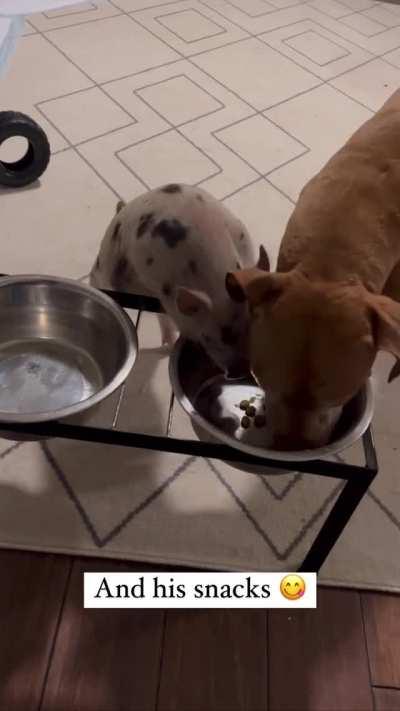 Uncle Neil has welcomed Augustina into his circle