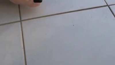 For those who likes barefoot: Grazi ants crush