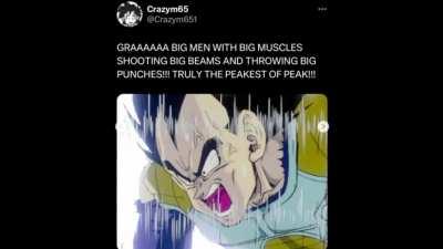 Ah yes, the average Dragon Ball fan…