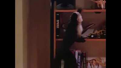 When the DOOM soundtrack kicks in (I made a thing)