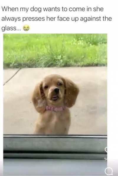 This is human toddler behavior.