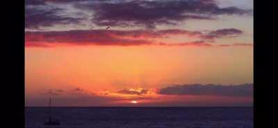 王朔点评（艹）白岩松