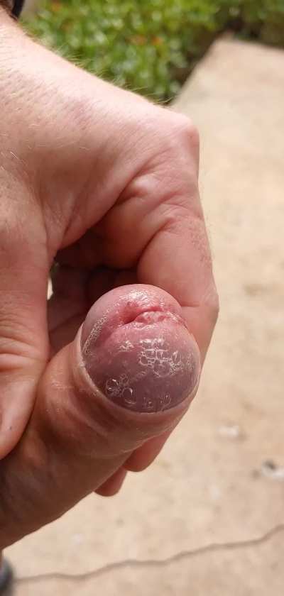 (41) who likes uncut cream