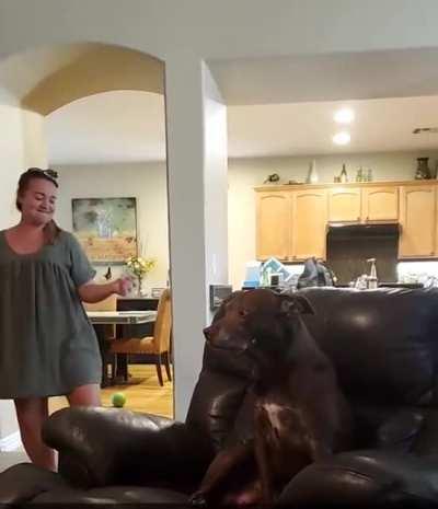 “ I cannot believe I’m part of this family.. 