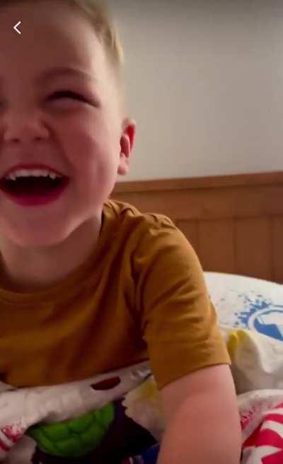 Mothew the pet moth.