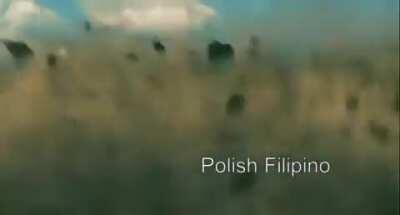 Bolt says the n word