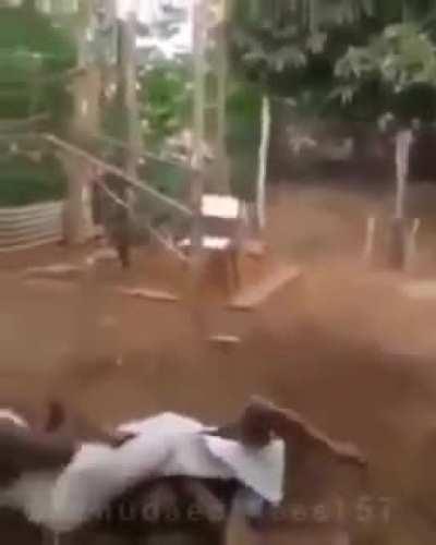 Luangameplay666 - Video #0468