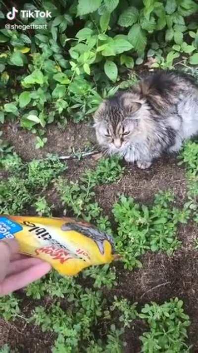 He don&rsquo;t like meow mix