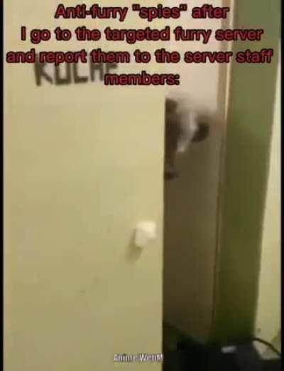 Anti-Antifurries meme : come back here.