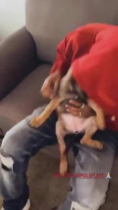 I’m sure many of you have seen the video of the racist woman that threw a dog at a young black man. The cries of the dog were heartbreaking. However, the good news is that the young man has decided to adopt the dog and she is doing well. Here she is safe 