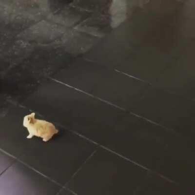 Don’t sneak up on me like that!