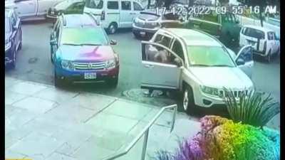 Woman in Peru falls into manhole after getting out of a car