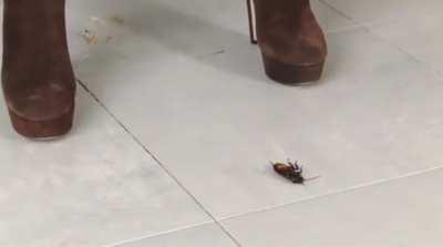 roach crush 👠