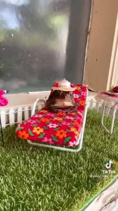 What in frog relaxation
