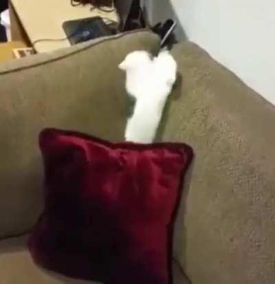 Hit 'em with the ol' upside-down-sproing-butt-plop