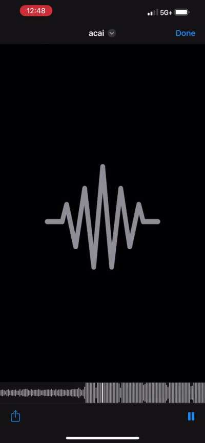 I found an unreleased ghostie song!