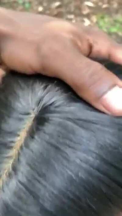 bri out in the woods with the neck🥵