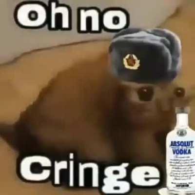 When I see westerner meme. Comrade, activate the Cringe alarm
