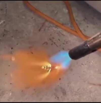 Aww so wolsome he is playing