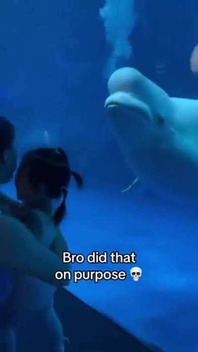 He looks so smug and satisfied with himself after