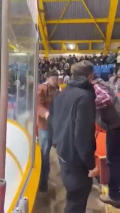 Fight breaks out in the hockey stands. Bonus: KO with a twist.