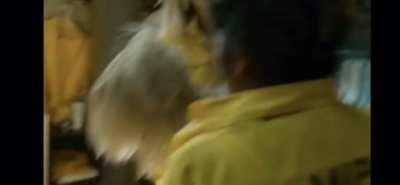 From the Spanish tv program “Vis a Vis”