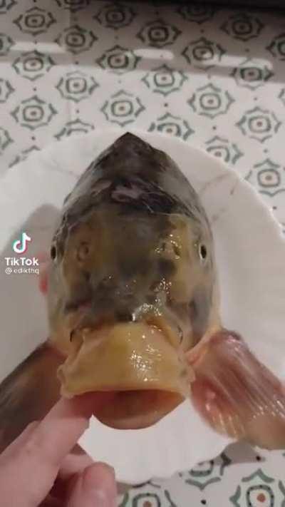 Christiano carp suiiiiiiii