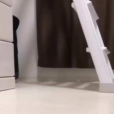 There are two types of owls…