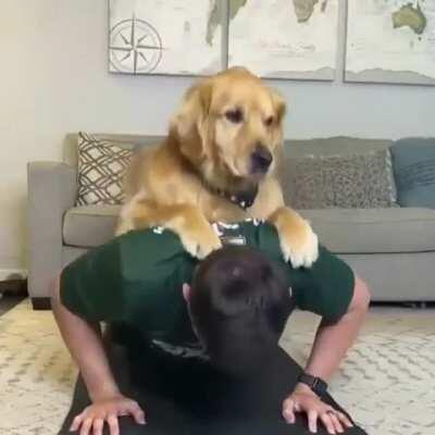 Let's see you lift me, human weakling.