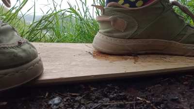 Favorite SloMo Snail Crush of 2022