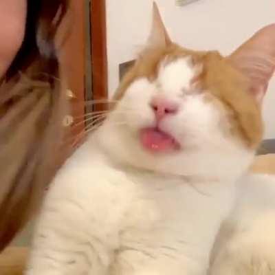 Kisses for this blind kitty