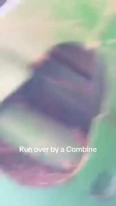 Letting a combine harvester drive over the top of you