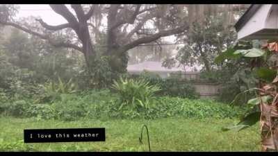 For my 8 year Cake Day, a spring shower in Florida