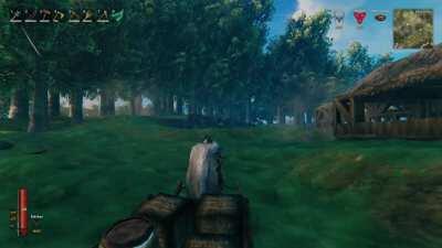 I always assumed trees grew when you're not in the area but that is NOT the case