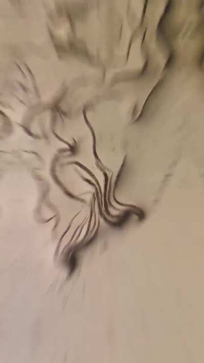 Garlic juice vs parasites