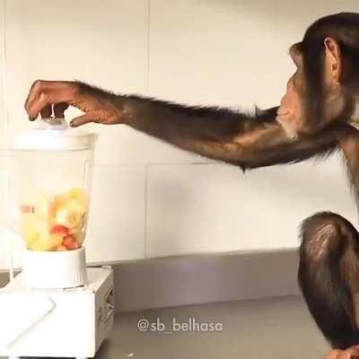 Chat voy a hacerme la cena ahora vuelvo